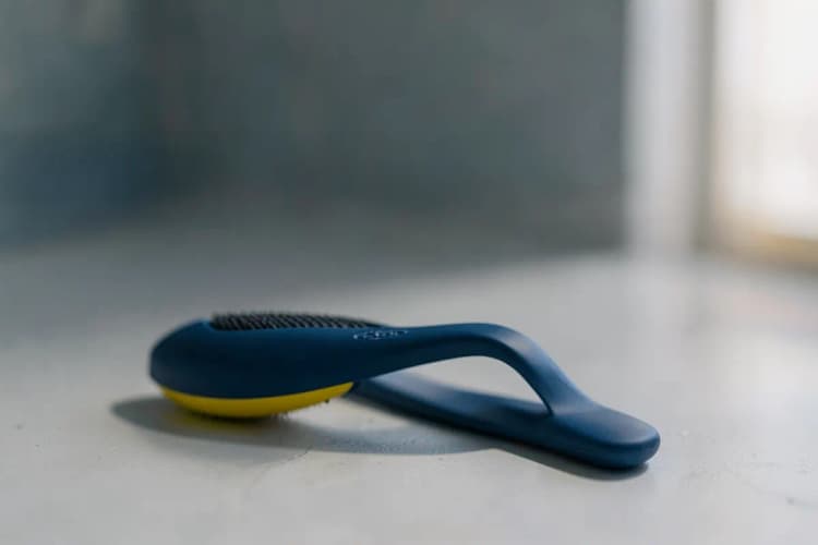 Dicas para manter seu pet calmo durante o banho e tosa