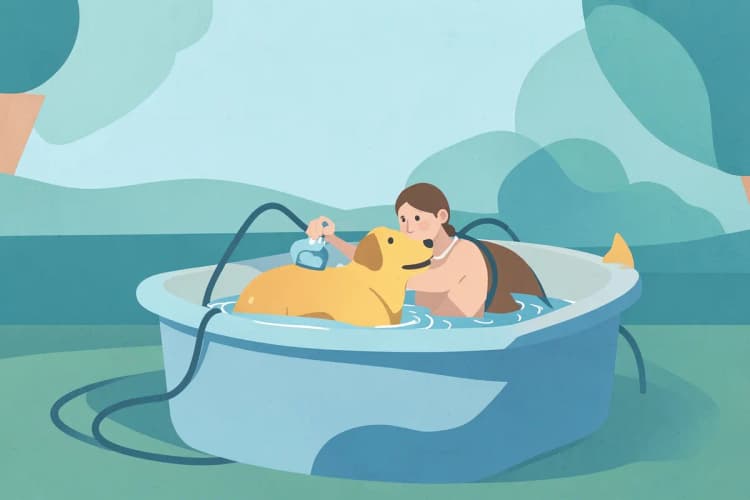 Uma pessoa dando banho em um cachorro em uma banheira externa, com mangueira e shampoo.
