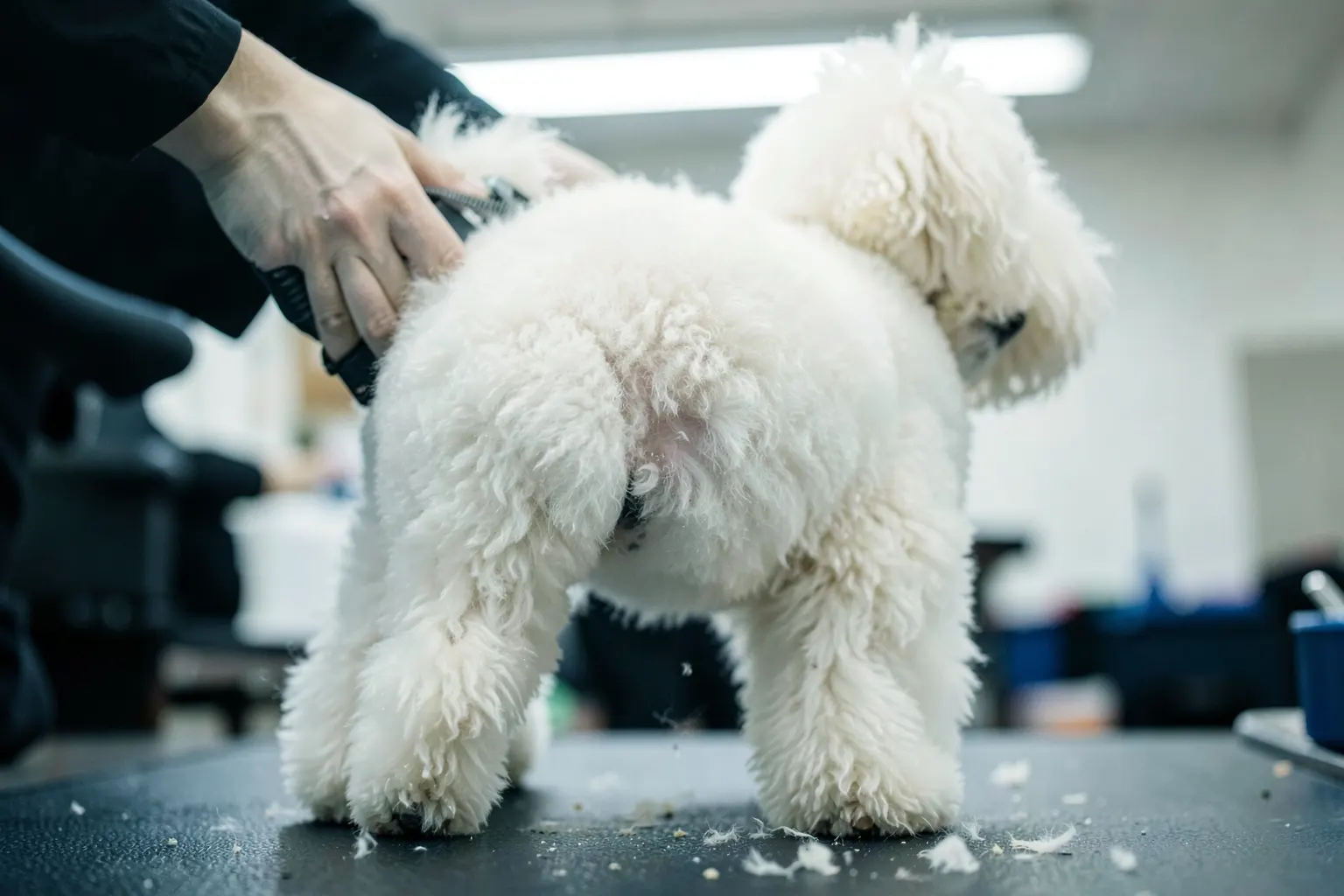 Cachorro sendo tosado em um salão de banho e tosa com equipamentos profissionais.