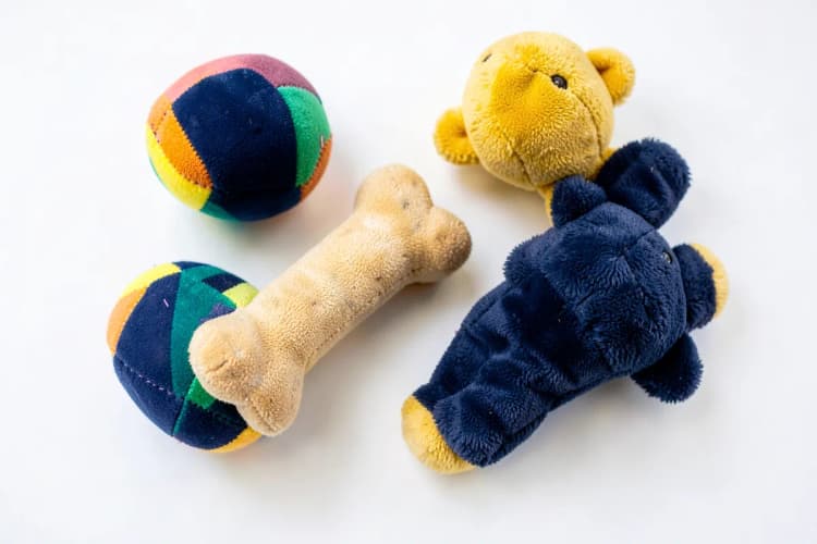 Um conjunto de brinquedos para animais de estimação, incluindo uma bola, um osso e um pelúcia