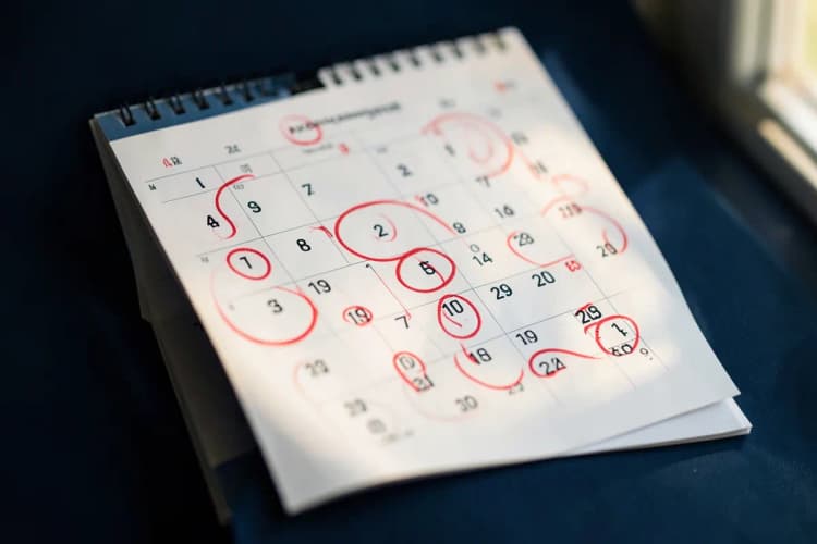 Calendário com dias marcados para agendamentos de banho e tosa