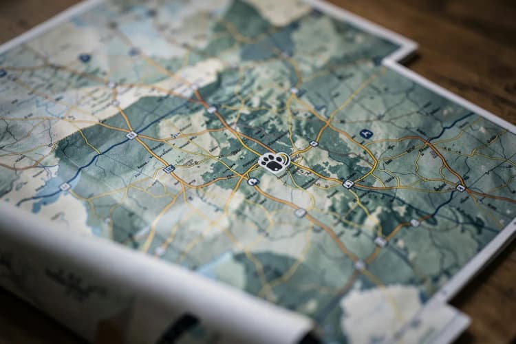 Um mapa com rotas marcadas e um ícone de carro com uma pata