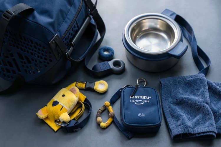 Uma lista de verificação com itens relacionados a transporte de pets